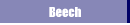 Beech  